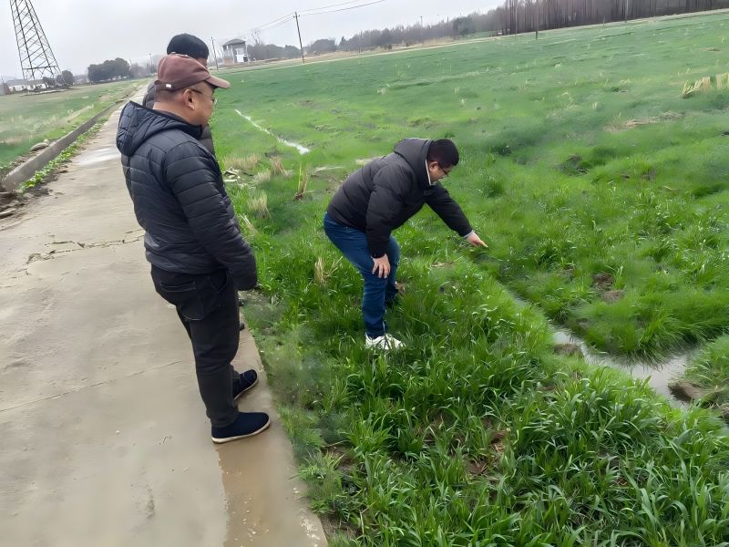 1743123875919770iDvc.jpg 640.jpg