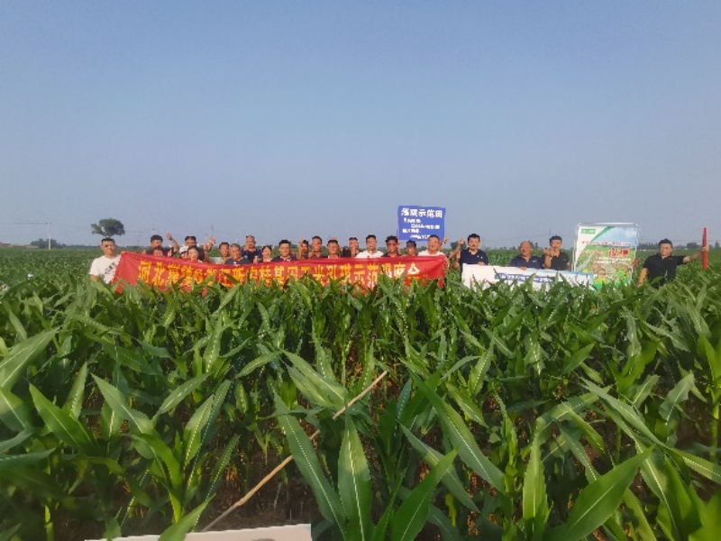 17570330634000968dGa.png 圖片1.png